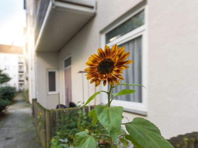 Gepflegte 3 Zimmer Wohnung im Erdgeschoss mit Terrasse in BRemerhaven Geestemünde