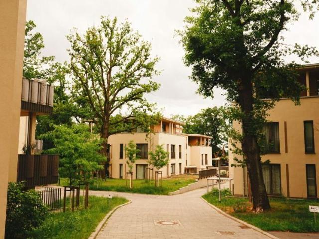Gepflegte 3 Zimmer Wohnung mit Terrasse und Garten in Dresden Trachenberge