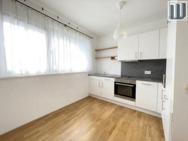 Gepflegte 1 Zi Gartenwohnung mit Terrasse & Garage in Leobersdorf