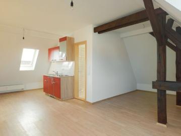 Gepflegte 1 Zimmer Wohnung mit EBK, stadtnah gelegen! AK 1020 215