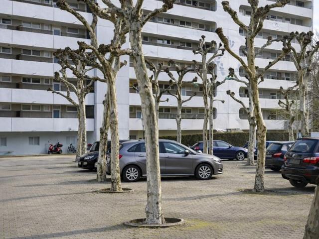 Gepflegte 2 Zimmer Wohnung mit Balkon & Aufzug – Dietzenbach