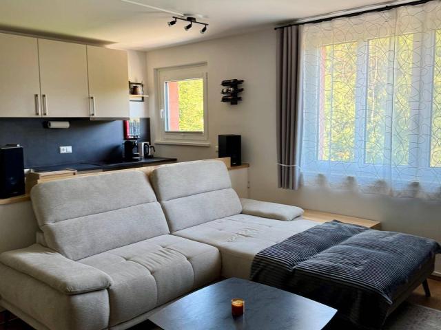 Gepflegte 2 Zimmer Wohnung mit guter Lage in Gloggnitz