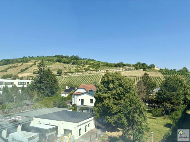 Gepflegte Maisonette Wohnung in ruhiger Lage und Garagenplatz !