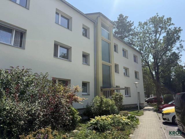 Gepflegte und helle 4 Zimmerwohnung Walserfeld mit Gartenbenutzung!