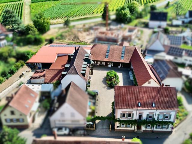 Gepflegter Vierseithof in Ilbesheim: Betreiberwohnung, Gästezimmer, drei vermietete Wohnungen