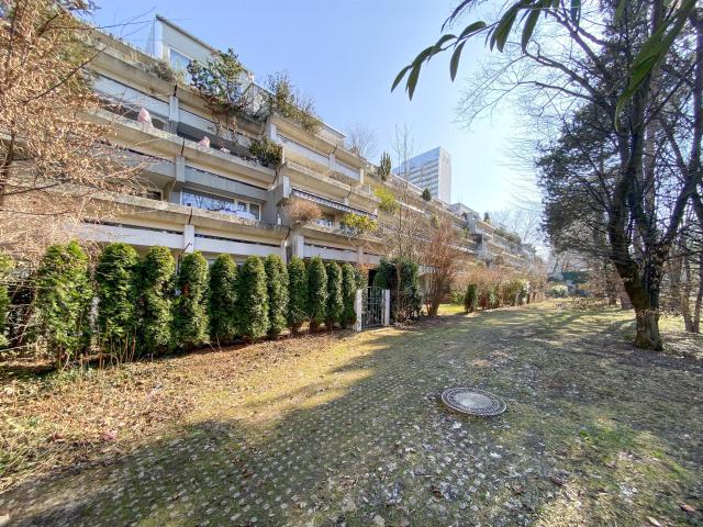 Gepflegtes Apartment mit Dachterrasse in Westausrichtung