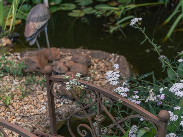 Gepflegtes Einfamilienhaus mit 1.130 m² Garten, Fasssauna, Gewächshaus und Brunnen in Zernsdorf