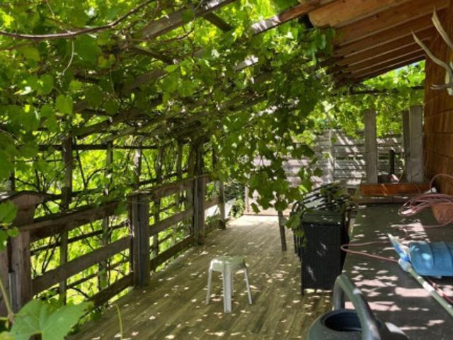 Gepflegtes kleines Chalet in Kirchdorf bei Kitzbühel