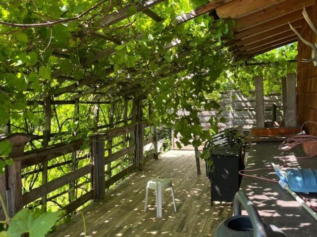 Gepflegtes Kleines Chalet in Kirchdorf bei Kitzbühel