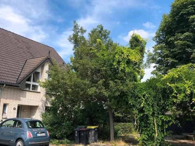 Gepflegtes Reihenhaus in ruhiger, familienfreundlicher Lage