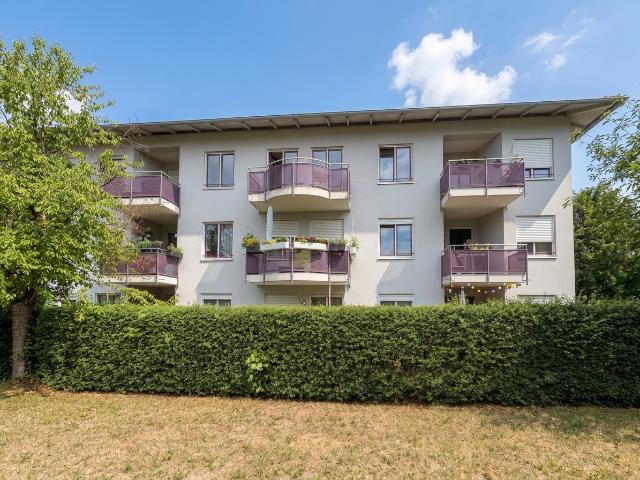Gepflegtes 2,5 Zimmer Zuhause mit Südbalkon & Tiefgarage zum Wohlfühlen!