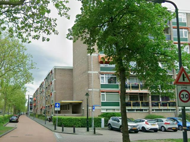 Geraert ter Borchstraat 34