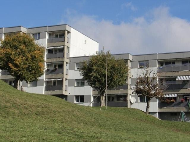 Geräumige 3.5 Zimmer Wohnung, komplett renoviert