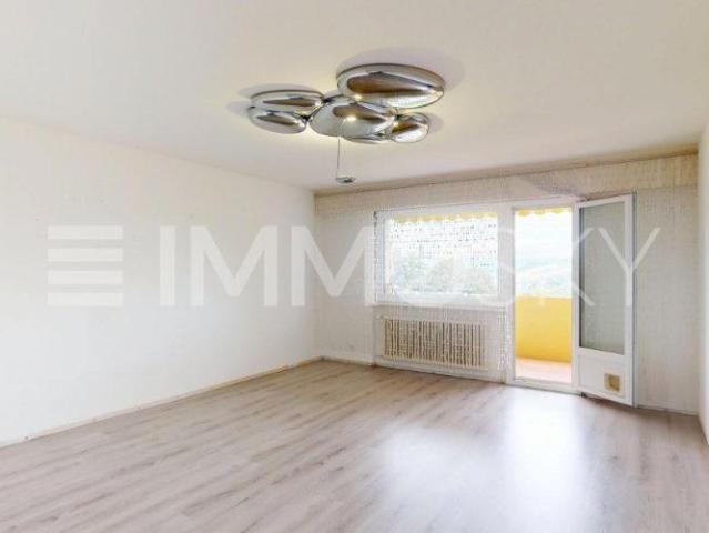 Geräumige 3.5 Zimmerwohnung in Chernex mit herrlicher Aussicht