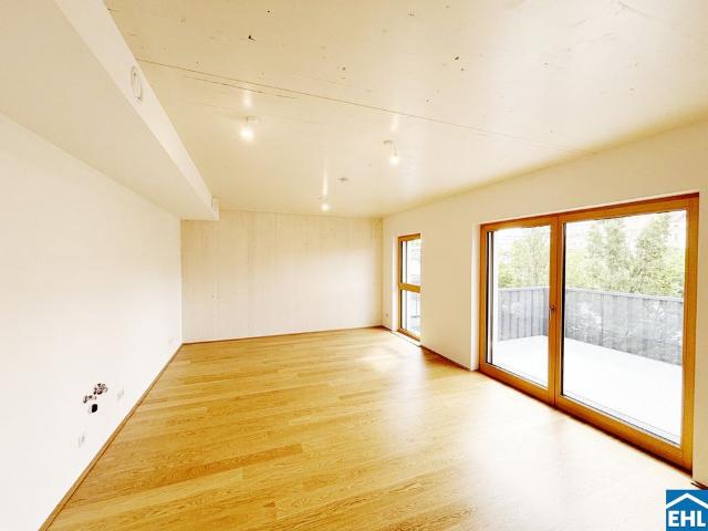 Geräumige 3,5 Zimmerwohnunug im Grünen Mödling! Optional 4. Zimmer