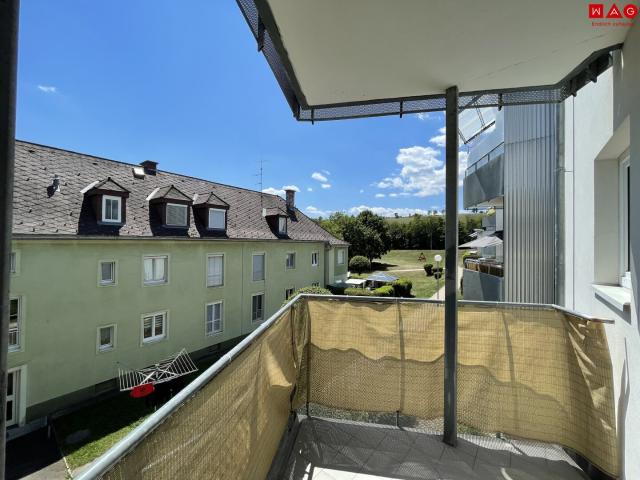geräumige 3 zimmerwohnung im grünen mit balkon!