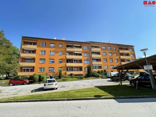 Geräumige 3 Zimmer Wohnung mit Küche, großem Balkon, zentrumsnah