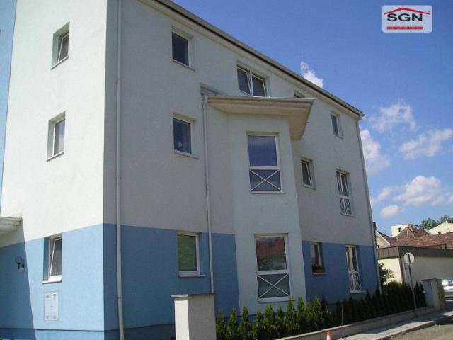 Geräumige 1 Zimmerwohnung