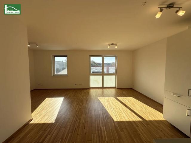 Geräumige 1 Zimmer Wohnung im Zentrum von Himberg mit Nachmittagssonne! Ab sofort verfügbar!