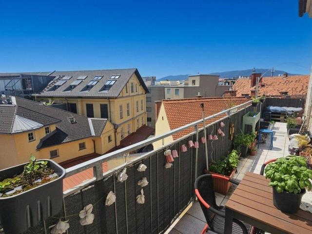 Geräumige 4 Zimmerwohnung + großer Extraküche + Balkon beim Kaiser Josef Platz, perfekt auch als 4 er WG nutzbar