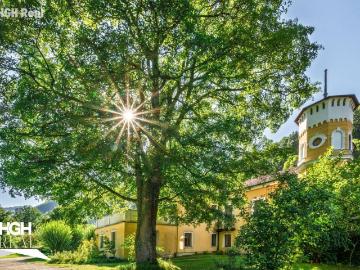 Wohnung kaufen in Bezirk Lilienfeld - Garten