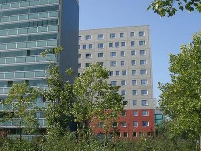 Geräumige Familienwohnung mit schönem Ausblick