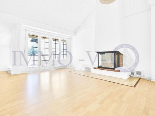 Geräumige, renovierte attikawohnung mit charme und balkon terrasse mit seeblick