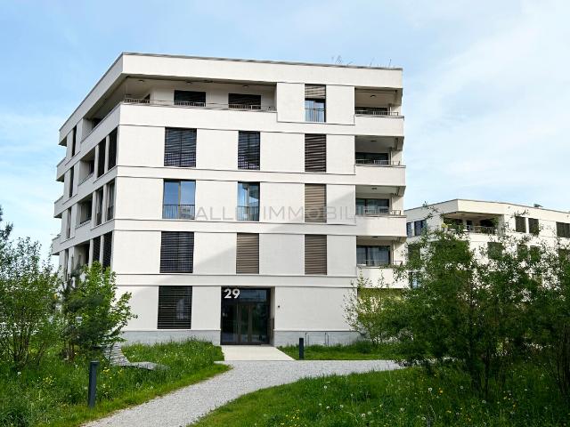 GROSSER 3½ ZIMMER ATTIKA WOHNUNGSTERRASSEN WOHNUNG