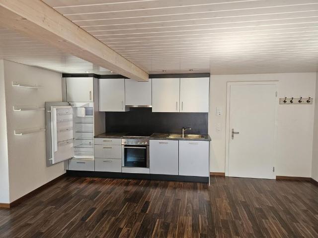 GERÄUMIGES OFFENES STUDIO /CHARMANTE KLEINE DACH LOFTWOHNUNG