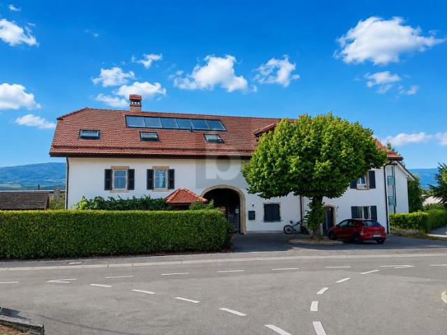 GERÄUMIGES DUPLEX MIT JURABLICK