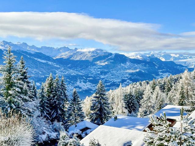 Geräumiges, renoviertes 2.5 Zimmer Apartment mit herrlichem Ausblick