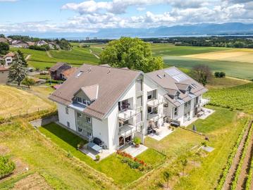 Geräumiges 4,5 Zimmer Duplex Apartment Im Herzen der Weinberge, mit Blick auf den See und die Alpen