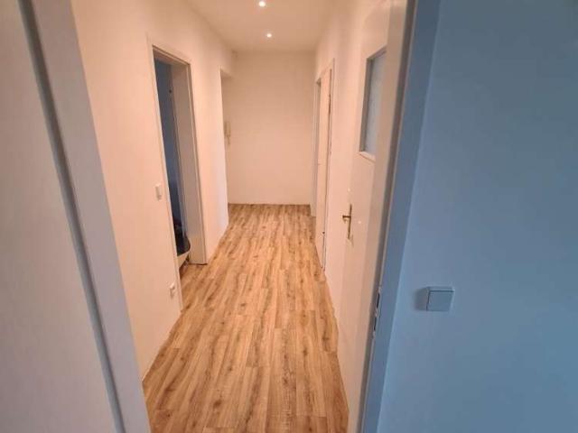 Gerbisbach/Jessen: praktisch schöne 63 m² Wohnung zu vermieten! frisch saniert!
