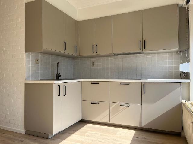 Gerenoveerd 1 slaapkamerappartement te huur in de Vosseslag!