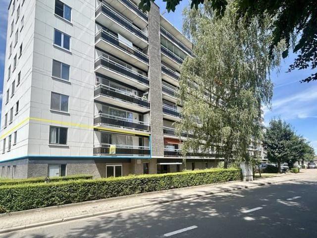 Gerenoveerd 3 kamerappartement te Heverlee