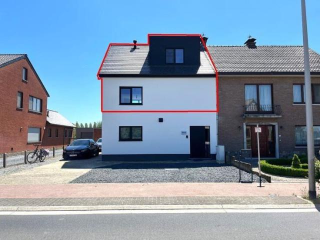 Gerenoveerd appartement met 2 slpk. en terras in Alken