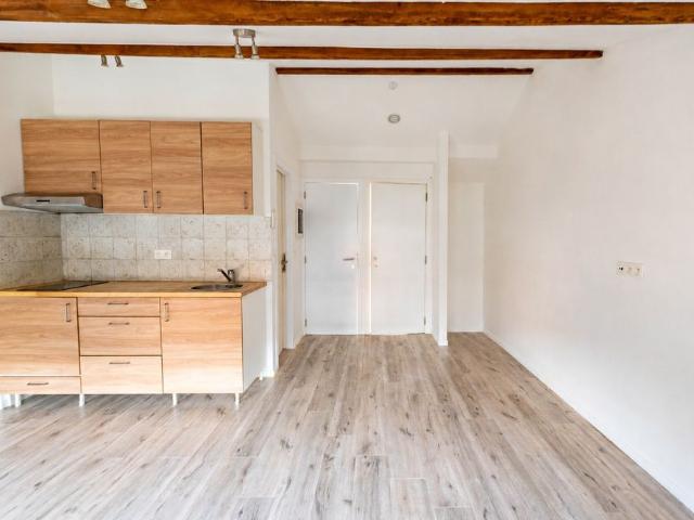 Gerenoveerd appartement nabij Park Spoor Noord