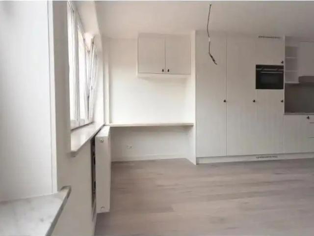 Gerenoveerd éénslaapkamerappartement