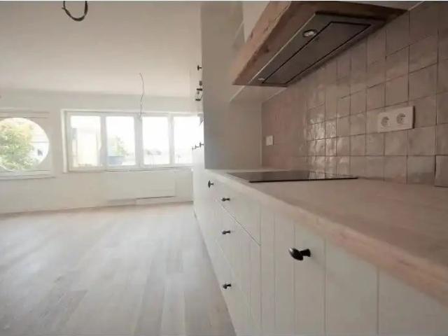 Gerenoveerd éénslaapkamerappartement