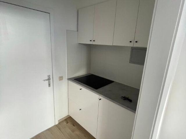 Gerenoveerde studio aan de Pieter Genardstraat 1