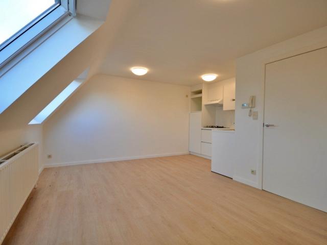 Gerenoveerde studio te Eine