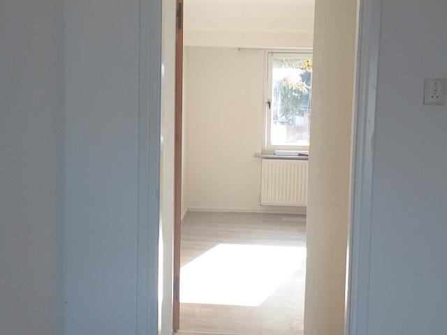 gerenoveerde studio te huur