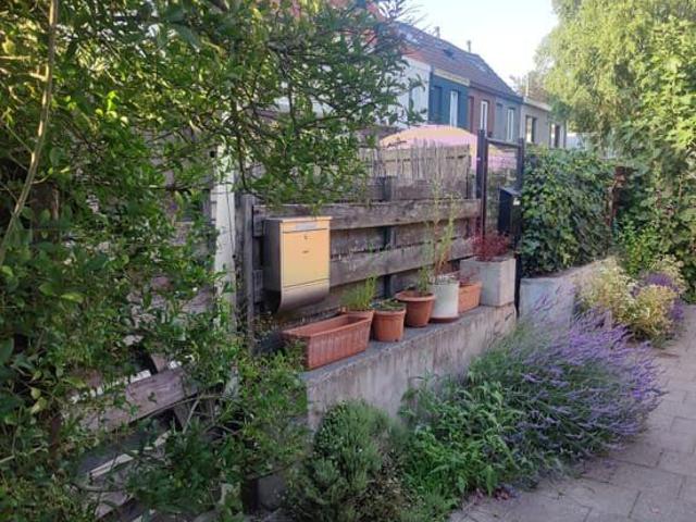 Gerenoveerde woning met zuidgerichte tuin