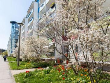 Gestalten Sie mit! Ihre individuelle 3 Raum Wohnung