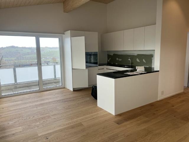Gesund wohnen mit Weitsicht 4½ Zimmer Dachwohnung C4.1