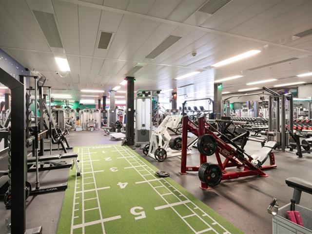 Gewerbefläche mit Tageslicht und vielen Möglichkeiten ca. 750 m²!