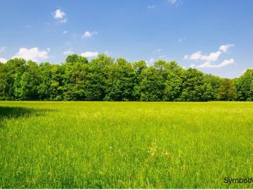 Judenburg, Murtal, Steiermark - Büroraum