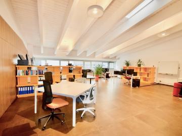 Castione, Arbedo-Castione, Kreis Arbedo-Castione, Moësa, Graubünden