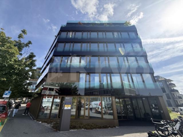 Gewerbeimmobilien zu vermieten