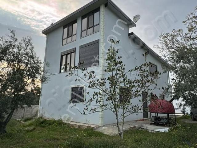 Geyve Sarıgazi'de 49 Zeytin Ağaçlı 3 Katlı Müstakil Ev Satılık